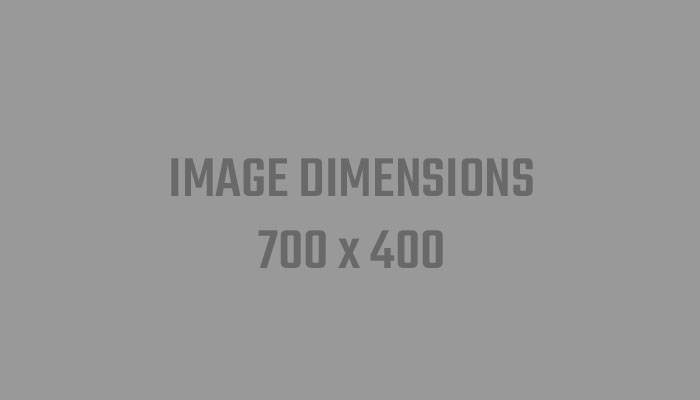 Example Category