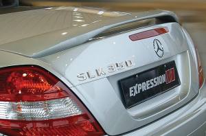 Performance Products® - Mercedes® Expression Rear Trunk Wing, 2005-2010 (171)