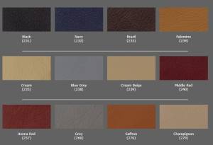 Performance Products® - Mercedes® Interior Color Leather Dye Spray, 12oz Aerosol, 1980-1998