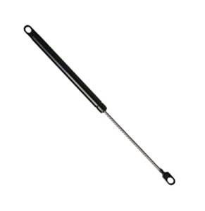 Mercedes® Hood Strut, Lift Support, 1998-2005 (163)