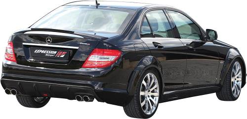 Performance Products® - Mercedes® Caron Fiber Insert For Expression Wing, 2008-2009 (204)