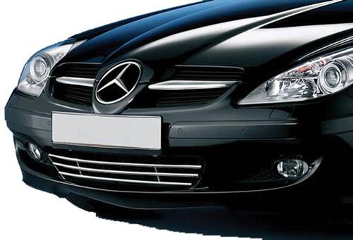 Performance Products® - Mercedes® Bumper Grille, SLK350 and SLK280, 2004-2011