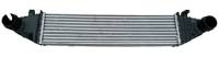 Performance Products® - Mercedes® Intercooler, 2006-2011 (164)