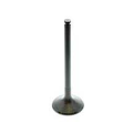 Performance Products® - Mercedes® Engine Intake Valve, 7mm Valve Stem, 1990-2004