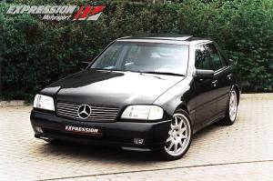 Mercedes® Grille, For Expression SL Style Hood, 1994-2000 (202)