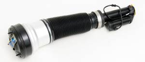 Mercedes® Air Suspension Strut, Rear, 2000-2006 (220/221)