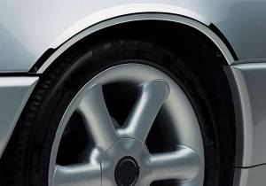 Mercedes® Fender Trim, Chrome, 2006-2008 (164)