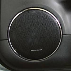 Mercedes® Speaker Trim Rings, Chrome, 2006-2007 (164)