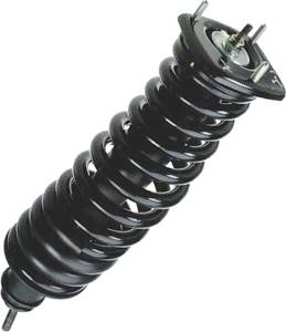 Mercedes® Spring & Shock Assembly, Rear, ML55, 2000-2003