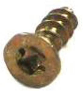 Mercedes® OEM Screw,Window Motor To Regulator, 1998-2003 (208)