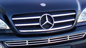 Mercedes® Grille Strips, Chrome, 1998-2005 (163)