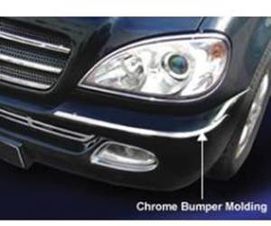Mercedes® Bumper Molding With Headlight Washers, Chrome, 2002-2005 (163)