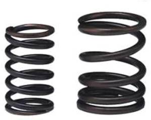 Mercedes® OEM Engine Camshaft Valve Spring, 1956-1985