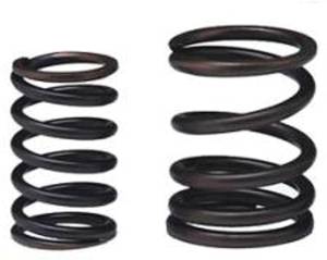 Mercedes® Engine Valve Spring, 1986-1987 (201)