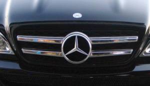 Mercedes® Chrome and Black Grille, GL Style, 1998-2005 (163)