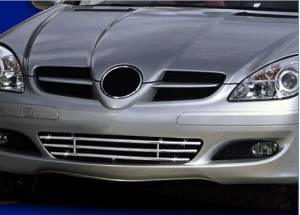 Mercedes® Front Bumper Grille, Stainless Steel Chrome, 2005-2007 (R171)