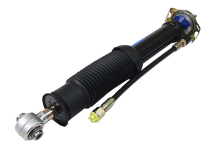 Mercedes® Hydropneumatic Shock Absorber, Rear, 1992-1999 (140)