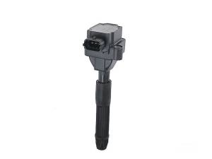 Mercedes® Ignition Coil With Spark Plug Connector, 2001-2004 (170/203)