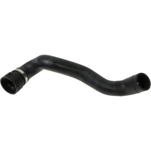 Mercedes® Lower Radiator Hose, 2000-2006 (215/220)