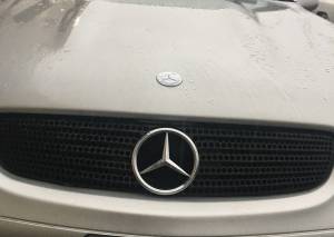 GENUINE MERCEDES - Mercedes® OEM Grille Black, Star Emblem NOT Included, 2001-2004 (170) - Image 2