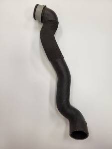 Mercedes® OEM Radiator Hose, Lower, 2001-2002 (203)